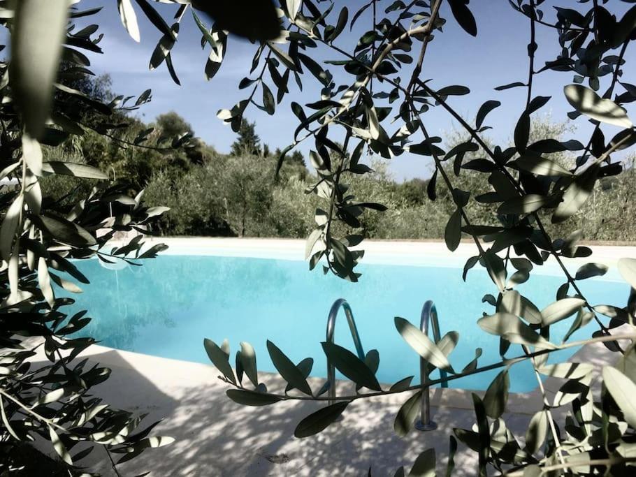 Podere San Giorgio Palaia Exterior foto
